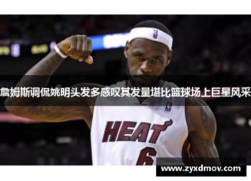 詹姆斯调侃姚明头发多感叹其发量堪比篮球场上巨星风采