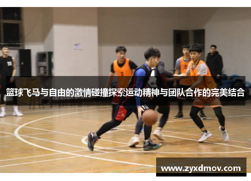 篮球飞马与自由的激情碰撞探索运动精神与团队合作的完美结合
